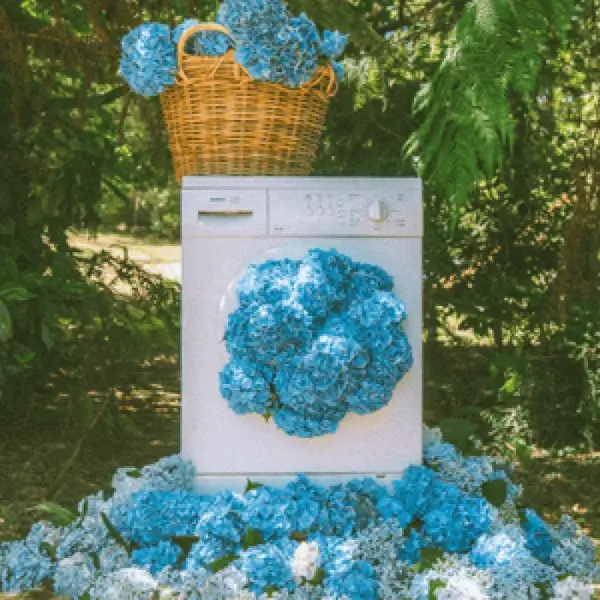 CHLOE VIOLETTE - COLOURFAST