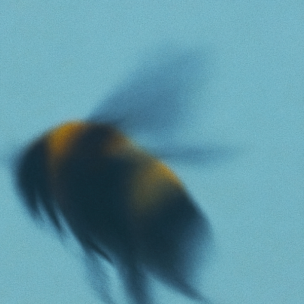 ELEANOR WYLING - EASY (TILL IT'S NOT)